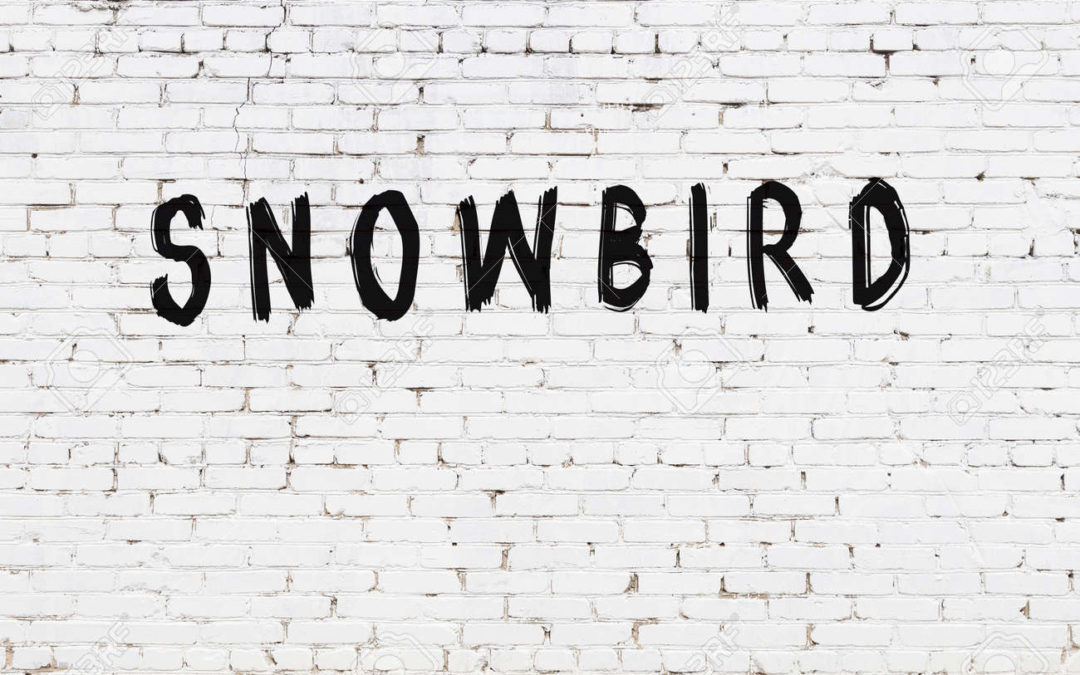 What I’ve learned about running my online business over the last 30 days as a snowbird …