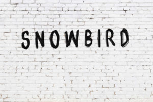 What I’ve learned about running my online business over the last 30 days as a snowbird …