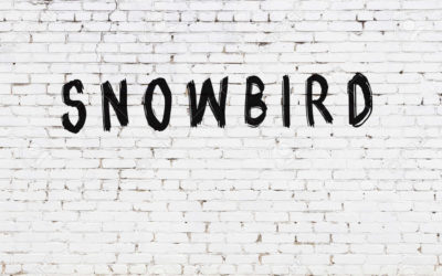 What I've learned about running my online business over the last 30 days as a snowbird …
