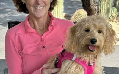 More client enrollment lessons learned at paws of my new dog …